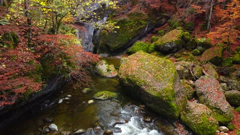 Alpine Mountain Panoramic Scenery View Stock Footage 229852091