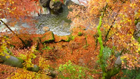 Alpine Mountain Panoramic Scenery View Stock Footage 229852174