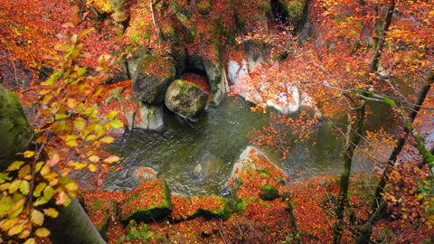 Alpine Mountain Panoramic Scenery View Stock Footage 229852483