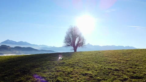 Alpine Mountain Panoramic Scenery View Stock Footage 229853904
