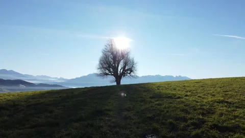 Alpine Mountain Panoramic Scenery View Stock Footage 229854090