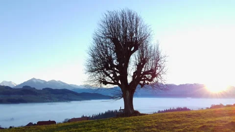 Alpine Mountain Panoramic Scenery View Stock Footage 229854374