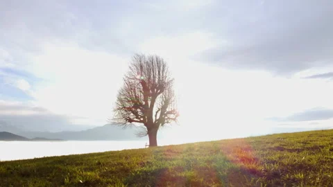 Alpine Mountain Panoramic Scenery View Stock-Footage 229857072