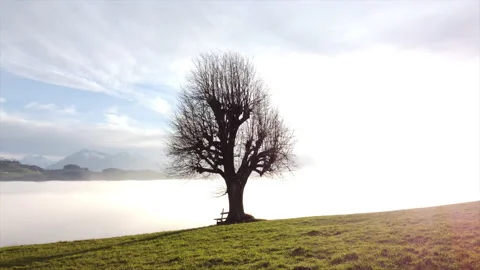 Alpine Mountain Panoramic Scenery View Stock-Footage 229857272