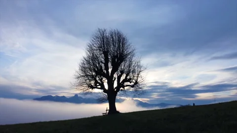 Alpine Mountain Panoramic Scenery View Stock Footage 229857388