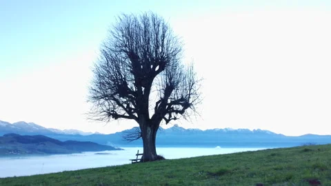 Alpine Mountain Panoramic Scenery View Stock-Footage 229869827