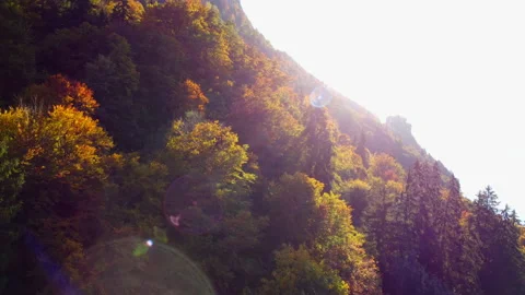 Alpine Mountain Panoramic Scenery View Stock Footage 229874356