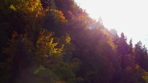 Alpine Mountain Panoramic Scenery View Stock Footage 229874485