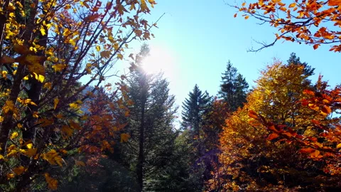 Alpine Mountain Panoramic Scenery View Stock Footage 229874821