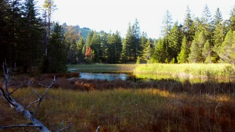 Alpine Mountain Panoramic Scenery View Stock Footage 229874941