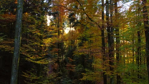 Alpine Mountain Panoramic Scenery View Stock Footage 229875095