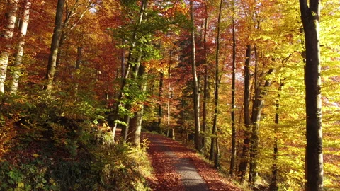 Alpine Mountain Panoramic Scenery View Stock Footage 229875662