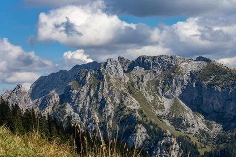 Alpine mountain peaks with pine forest and blue sky Stock Photos