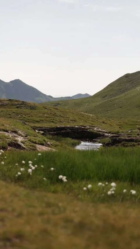 Alpine Mountain Range with Wildflower Meadow – Static Nature Landscape Stock Footage 328722912