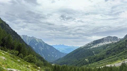 Alpine Mountain Valley Pine Forest Overcast Sky Ridge Foto stock