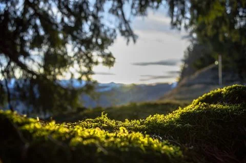 Alpine mountains Stock Photos