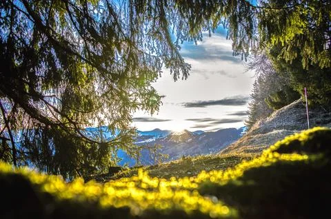 Alpine mountains Stock Photos