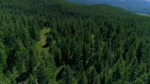 Alpine mountains range landscape in beauty French, Italian and Swiss aerial slow Stock Footage 77880171