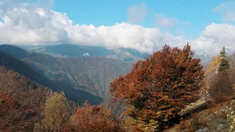 Alpine panorama with autumn trees in foreground and misty mountain peaks in Stock Footage 324961093
