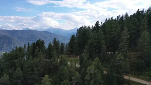 Alpine panorama with cows on mountain paths Stock Footage 281004247