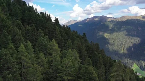Alpine panorama with an overflow passage over the fir trees Stock Footage 281004321