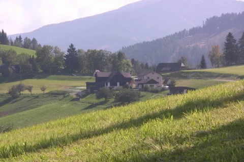 Alpine Pasture Video stock 1046920