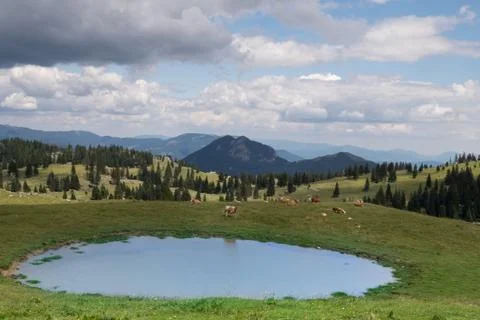 Alpine pasture with mountains in the background, in the foreground a small la Stock Photos