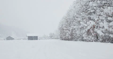 Alpine pasture under heavy snowfall Stock Footage 231059146