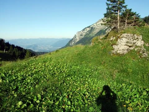 Alpine pastures and meadows on the slopes of the Alviergruppe mountain range Stock Photos