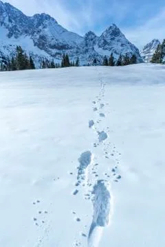 Alpine path of footsteps in the snow Stock Photos