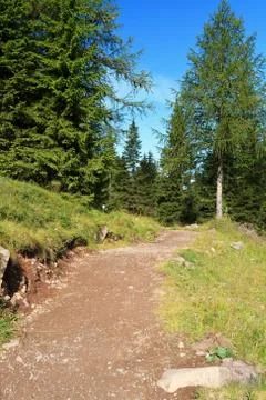 Alpine pathway Stock Photos