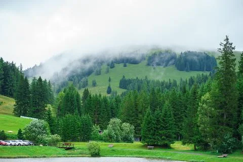 Alpine peak partially hidden in clouds with green spruce trees before the rai Stock Photos