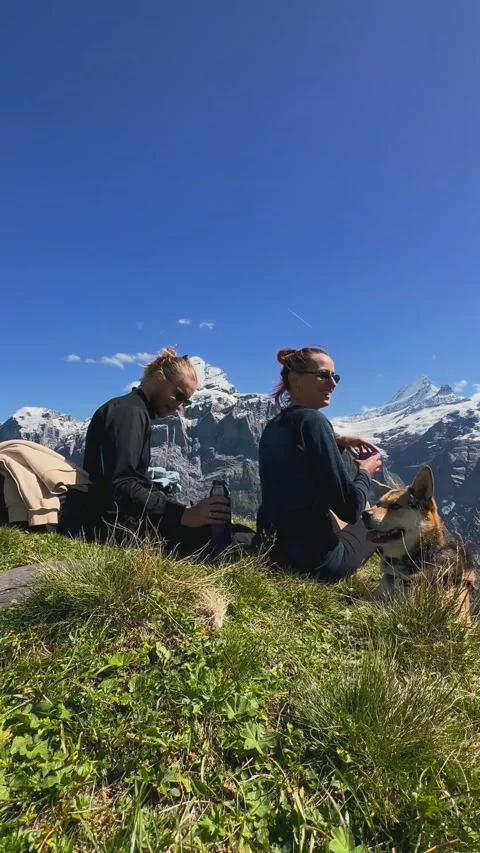 Alpine Picnic with Mountain View Stock Footage 329250588