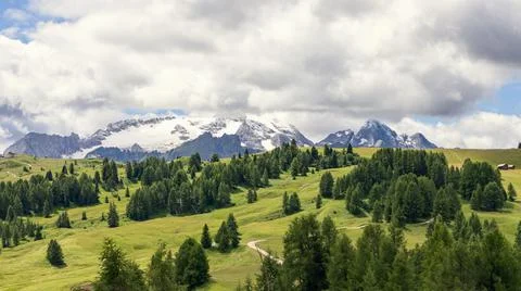 Alpine plateau with pine forests in the rays of the sun and the Dolomites cov Stock Photos