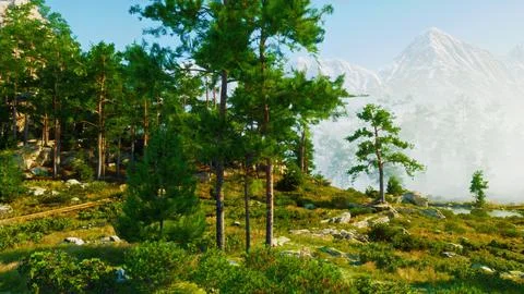 In the Alpine region, a multitude of trees are illuminated by the bright sun Ilustración de archivo