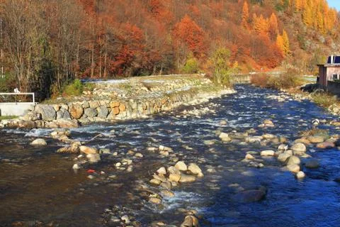 Alpine river and multicolored trees. Stock-Fotos