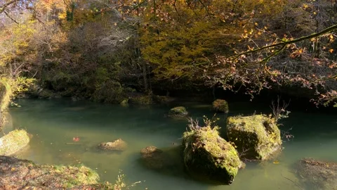 Alpine river flowing downstream in wilderness Stock Footage 143590140