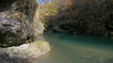 Alpine river flowing downstream in wilderness Stock Footage 143590238
