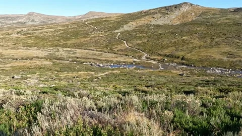 Alpine River Flowing Through Rocky Terrain on Mount Kosciuszko Main Range, .. Stock Footage 312062362