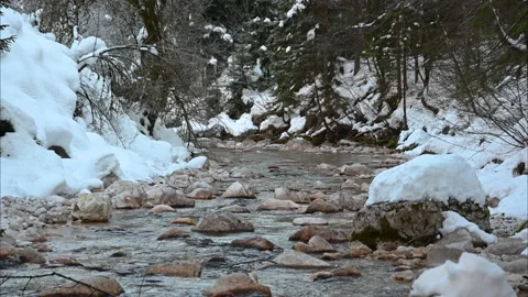 Alpine river flowing in the valley Video stock 168907805