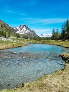 Alpine river stream flowing among alpine meadows of the devero alp on a sunny Foto stock