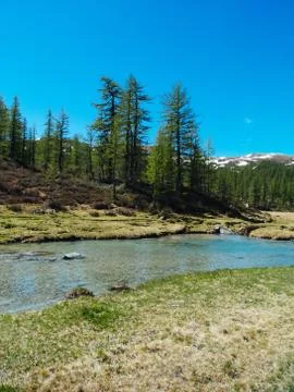 Alpine river stream flowing among alpine meadows of the devero alp on a sunny Stock Photos