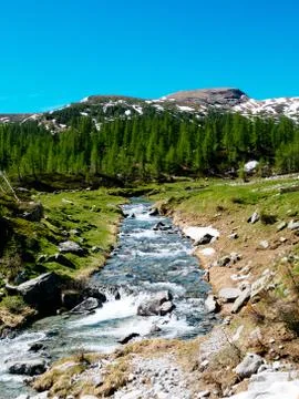 Alpine river stream flowing among alpine meadows of the devero alp on a sunny Foto stock