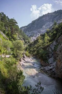 Alpine River Valley Stock Photos