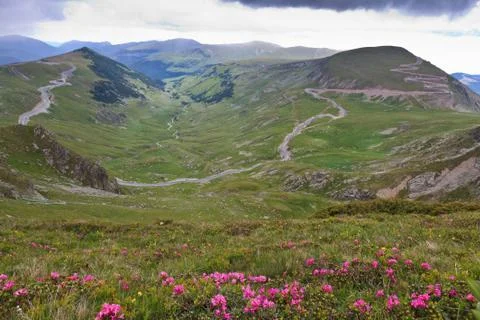 Alpine road Stock Photos
