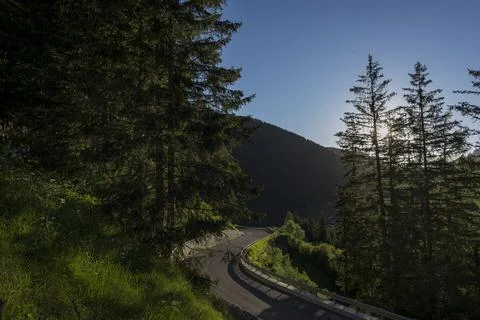 Alpine road 스톡 사진