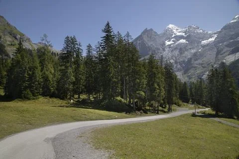 Alpine road winding through forest towards snowy mountains Stockfoto's