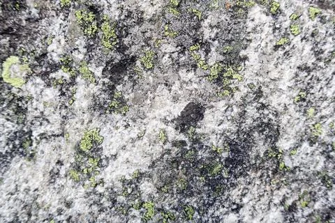 Alpine rock with lichen Stock Photos