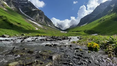 Alpine Serenity, Summer Peaks and Meadows Stock Footage 260206891