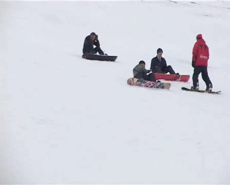 Alpine Skiing Stock Footage 1008226